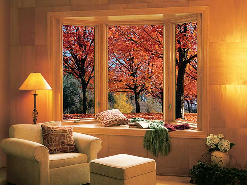Window Replacement