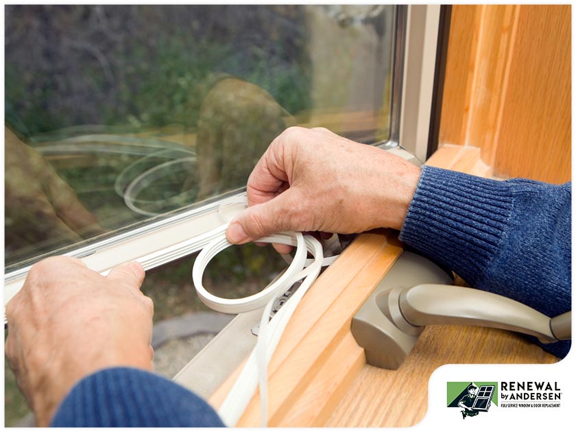 Window Seals