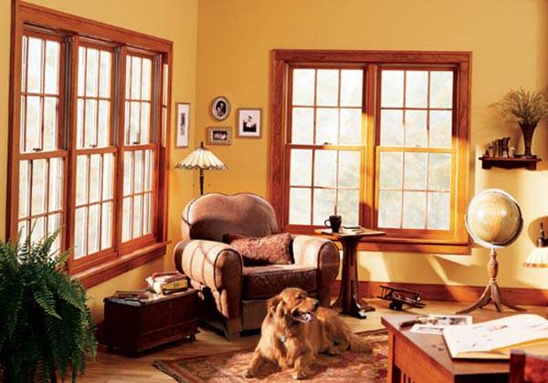 Professional Double Hung Window Replacement Professional Double Hung Window Replacement
