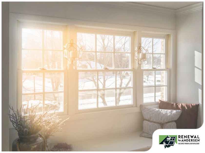 Windows During Winter